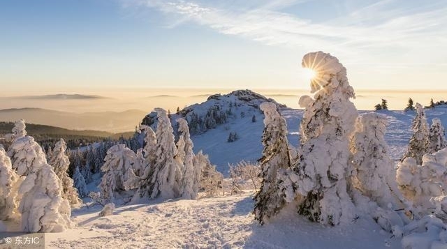 2018��ȫ�����÷��ж��٣���Ȼ�������أ������ܳ�Ϊ�����˵�����