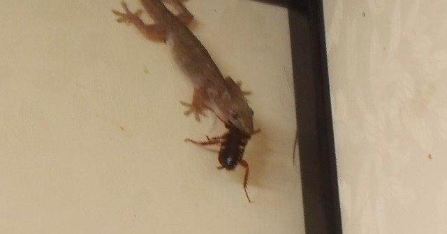 ����ũ�忴���ڻ��벻Ҫ������֪��ʲôԭ��