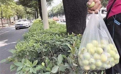 ����·������ժâ������ˤ�� ͷ���ŵص�������