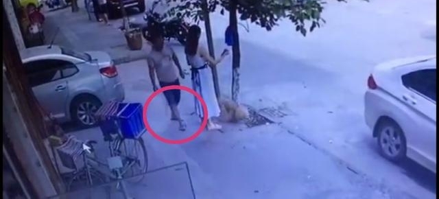 嚣张!少女街头被陌生人调戏,斥责后又遭掌掴