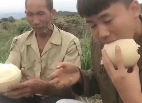 男子在野外捡到重3斤的蛋,好奇把一个煮熟吃,打开后赶紧报警