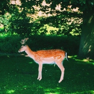 ɭµС¹