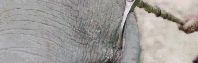 ΪĲ��������Ű�����������Ǹ����Ӱ�����¶�㲻�˽��ѱ���Ļ