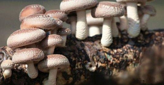 Ů�˲����ϵĿ죬�����˽��������ӻ�˥�ϣ��϶����ǣ���Թ���
