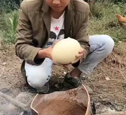 男子在野外捡到重3斤的蛋,好奇把一个煮熟吃,打开后赶紧报警
