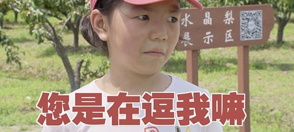 夜读|老爸参观时突然提议写作文,女儿“变脸”|16世纪木雕被修复成卡通人物,专家惊呆