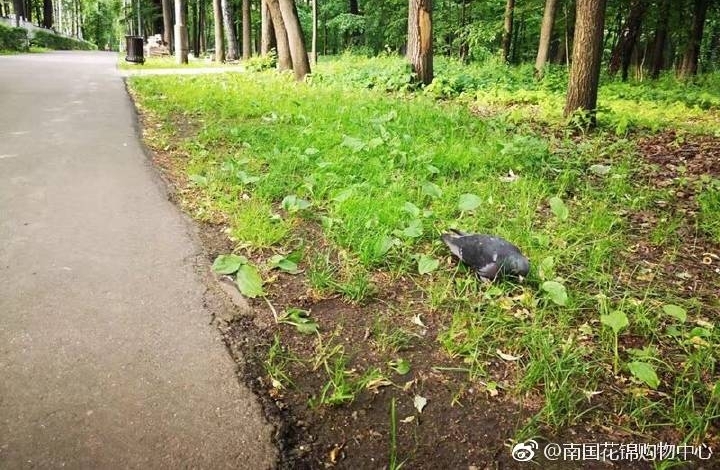 �Ϲ���������ȥ���籭�ֳ�
