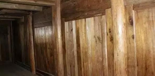老汉独居30年,命不久矣才知住了一辈子的老屋竟是天价金丝楠!