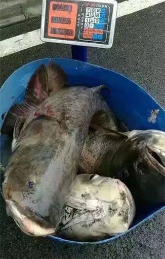 �����������̴�ѧ�����̳�ǧ����㣬ȫУ3���˽����Ʒ��