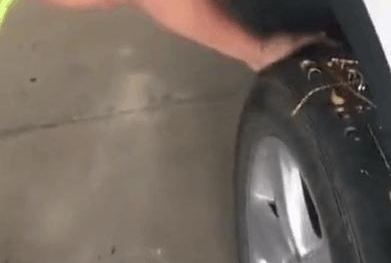 ���ӷ�����̥������������˸, �ս�ϸ������ϱ���!