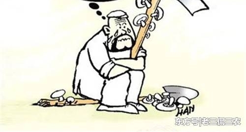 �ֵز�׬Ǯ������û����ֵ����ũ��Ϊ�ν�ץ���ţ����������ˣ�