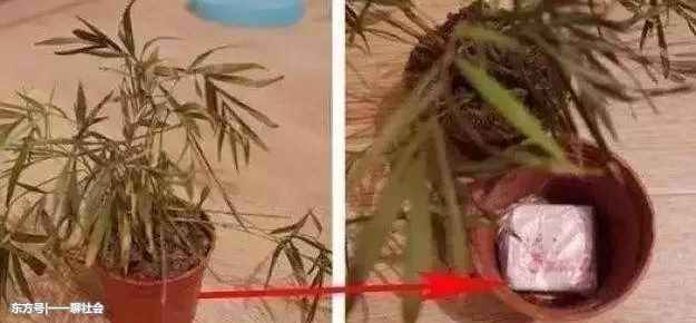 �����Ż����ӿ��Ų����ӣ�20��˽��Ǯ�������컨����
