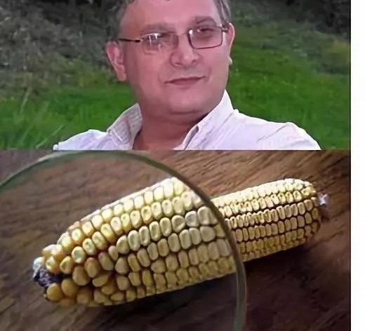 ��1.13��Ԫȥ����һƪת�����°����ģ������Ƿ�̫��