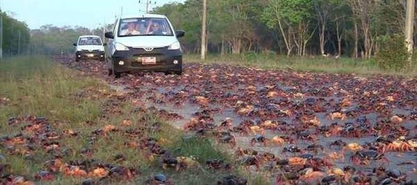 �й���Զ��Բ���������ȴ�����޲ߵ�������֣����ѣ�������