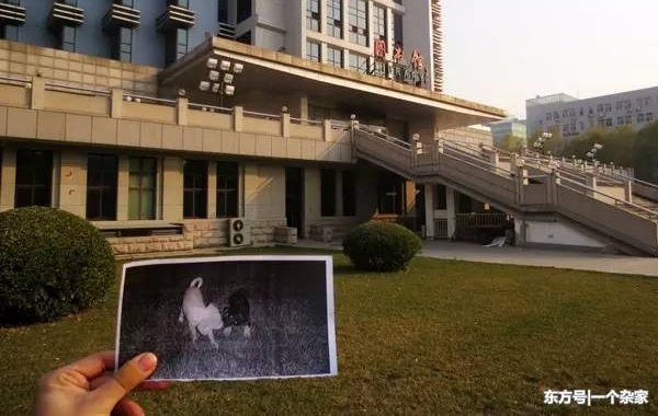 ����4����������������Ƭ��ȴ��Ϊ��˵ı�ҵ�գ�����������