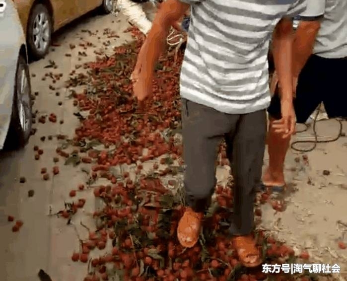 ������֦�����۸��� 5ëһ��û��Ҫ����ũһ��֮�µ�������
