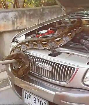 ̩������������������ڷ���һ����������3.7�ף���60��