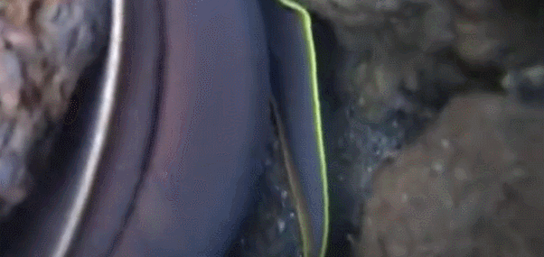 ǳˮ�����ǳ������б�ʶ��, ֮���ε���ʯ��, û�˸�ȥ����