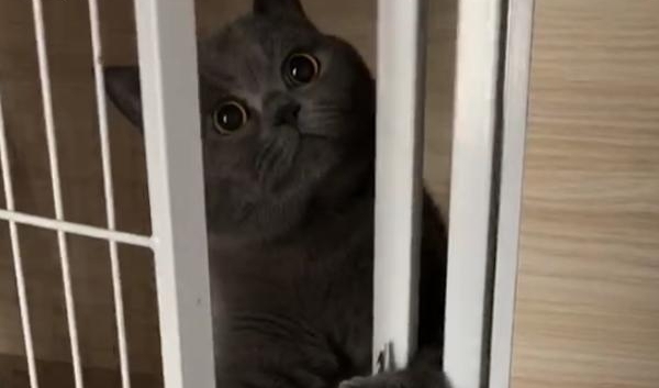 �ɾ������˿�����Խ���� ȴ�������˾���������