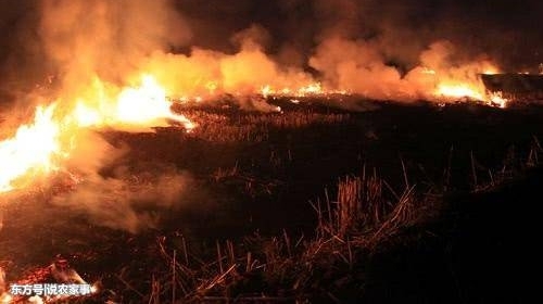 ���սոѣ���Ⱦ������˵�������������֣�ũ��Ϊ����Ȼ͵���գ�