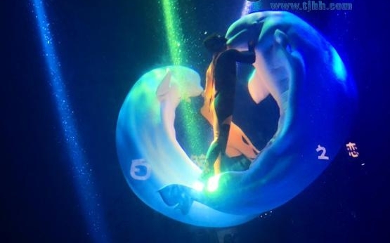 端午节 极地海洋公园看侏罗纪霸主拼“球赛”