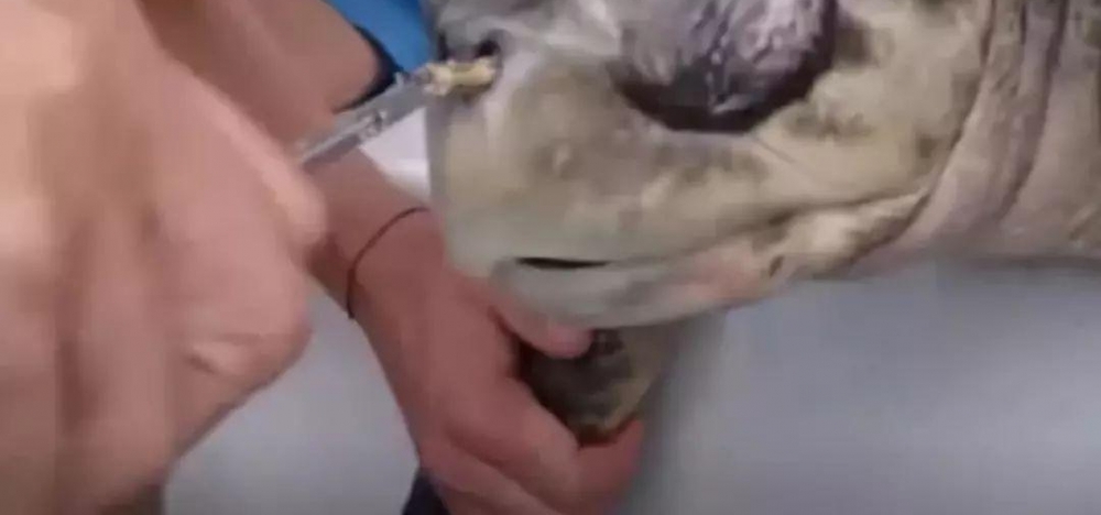 ��Щ�����ӵ������ϴ���������һ��ᱻ�����ȥ����