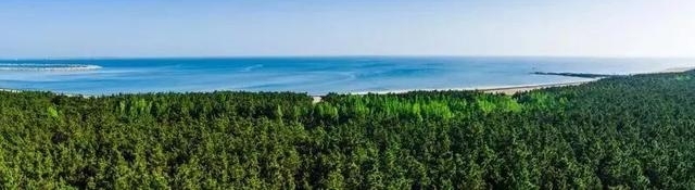 住进“诗和远方”