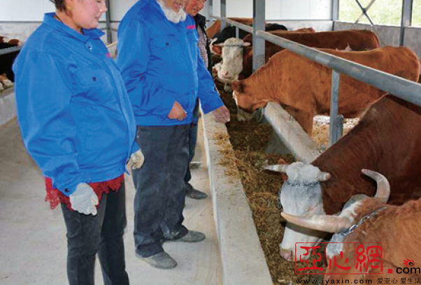�����Ž�һ����|���ھӡ�ţר�ҡ��̼�����������ţ