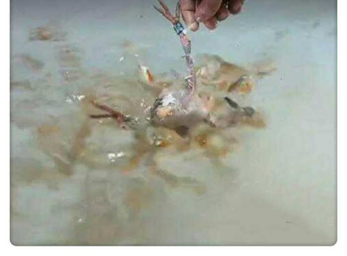 ����������ʱͻȻ���ӽ�һ��������30���Ļ����ʱ�����ˣ�