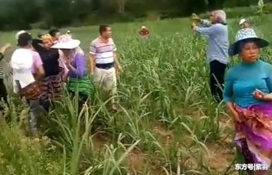 ����׹����ʯ������5��ÿ�� �ٷ�:������ʿ�Ĵ�����