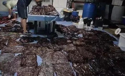 ��Щ�����ӵ������ϴ���������һ��ᱻ�����ȥ����