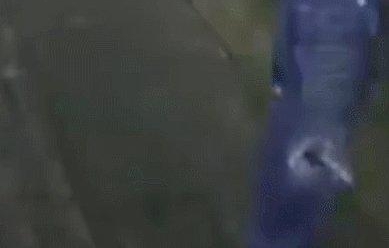 ���ֻ�������Ҫ 2 ǧ���޹�������ֱ�Ӱ��ֻ�ˤ�ˡ���