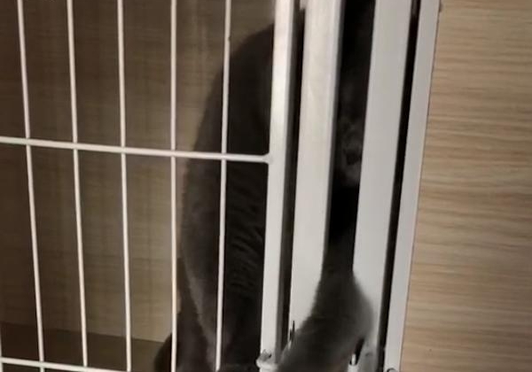 �ɾ������˿�����Խ���� ȴ�������˾���������