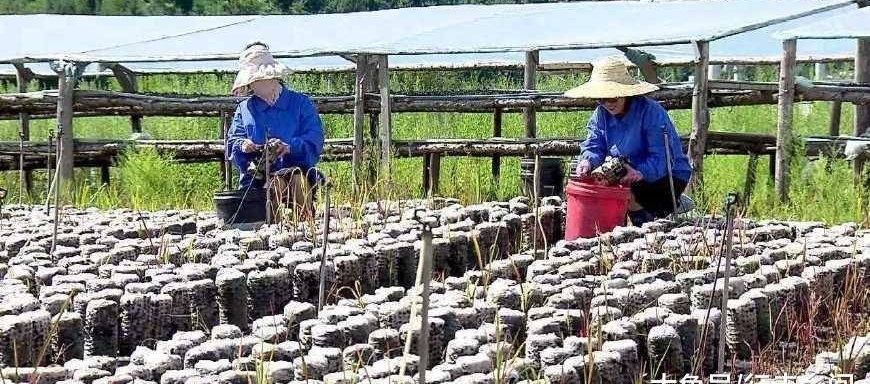 工作越来越难找,农民工深刻意识到了危机,未来的出路又在何方