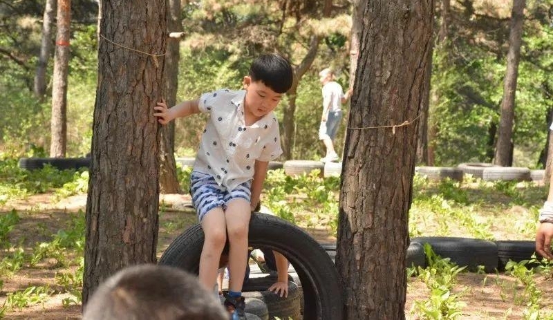 ��ͯ����С���12���ִͥ��һ�Ρ��������񡱣���