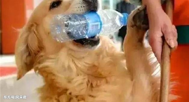 ��������ż�����˽�ë��������ÿ�������������ë������ƿ����