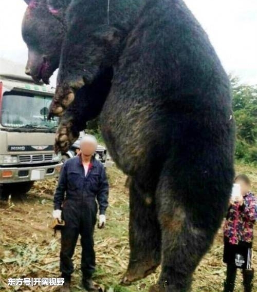 �����С���һ���ޡ���������ش�1000��ʨ�Ӽ������ÿ���