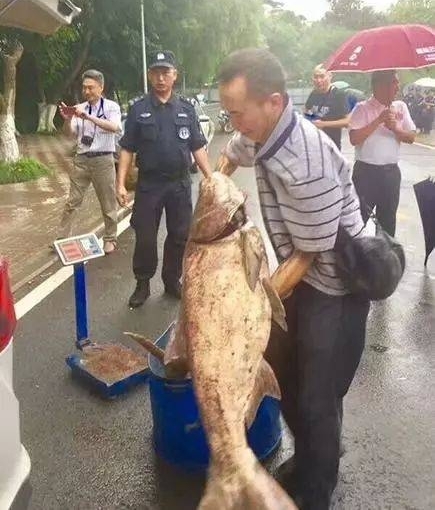 �����������̴�ѧ�����̳�ǧ����㣬ȫУ3���˽����Ʒ��
