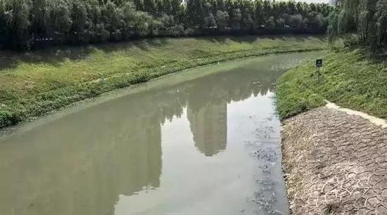 ����Ů���賿��ɱ������ʬ�ӵ� ��������Ͷ������