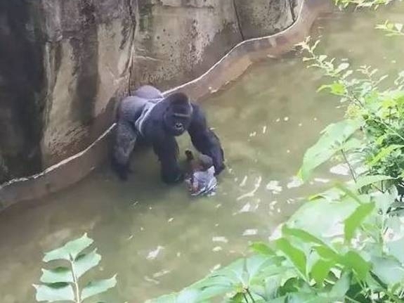 Ů����С��׹�����ɳ��У���������������������˱�����ϲ