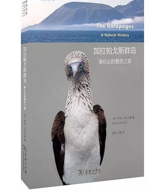 “我只怕一件事,那就是平庸生活这个词” | 一周荐书
