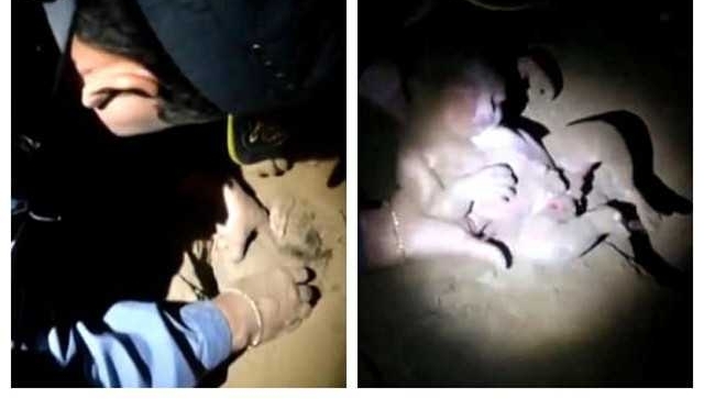 巴西新生女婴被亲人活埋 8小时后出土奇迹生还