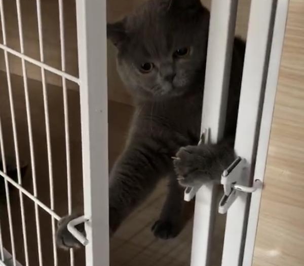 �ɾ������˿�����Խ���� ȴ�������˾���������