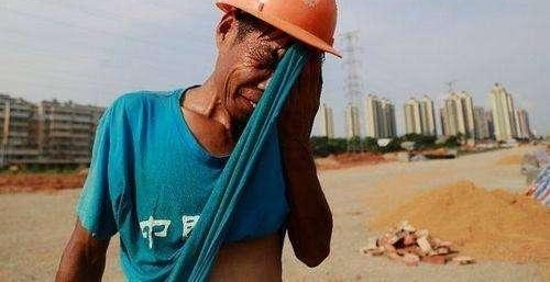 ���������ƻ��գ����ǴӲ�����Թ��ҧ�����������������ص�
