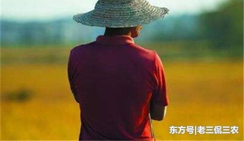 �ֵز�׬Ǯ������û����ֵ����ũ��Ϊ�ν�ץ���ţ����������ˣ�