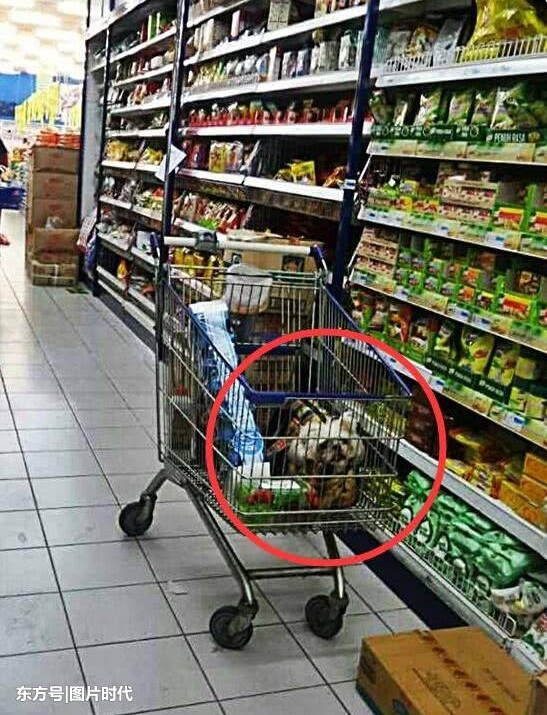 ��˿Ͱѳ��ﹷ���ڹ��ﳵ����н����������ﳵȫ����ϴ