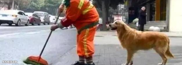 ��������ż�����˽�ë��������ÿ�������������ë������ƿ����