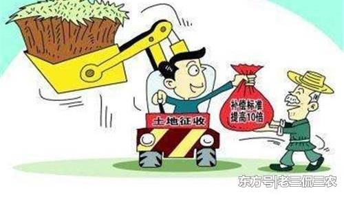 �ֵز�׬Ǯ������û����ֵ����ũ��Ϊ�ν�ץ���ţ����������ˣ�