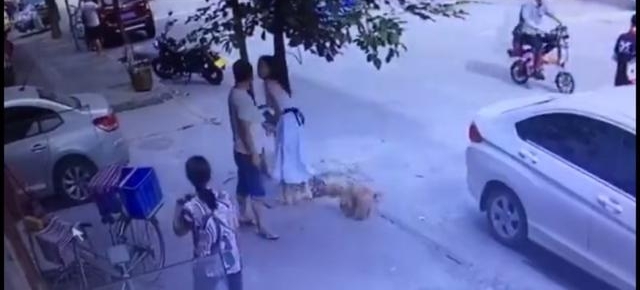 嚣张!少女街头被陌生人调戏,斥责后又遭掌掴
