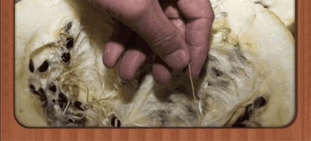 ���Ӵ�ɨ��������һ�����ϣ��Ѿ�����4�꣬��һ������������